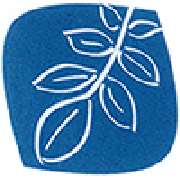 Nussbaum-Apotheke - Logo der Nussbaum-Apotheke