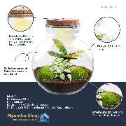 Nyumba Shop - GALLERY