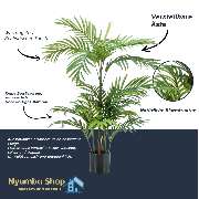 Nyumba Shop - GALLERY