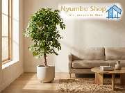 Nyumba Shop - GALLERY