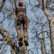 Oachkatzl Buam GmbH - Gartenpflege | Baumpflege | Gartenbau - 10