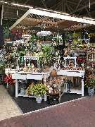 OBI Gartencenter Bautzen-Stiebitz - GALLERY