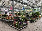 OBI Gartencenter Berlin Reinickendorf - Ein Eindruck von unserer überdachten Freifläche