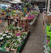 OBI Gartencenter Freiburg, Tullastrasse - GALLERY