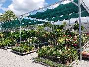 OBI Gartencenter Freiburg, Tullastrasse - Garten Außenpflanzen