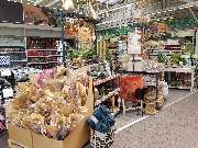 OBI Gartencenter Freiburg, Tullastrasse - Garten Dekoration