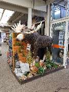 OBI Gartencenter Freiburg, Tullastrasse - Garten Dekoration