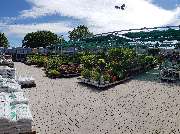 OBI Gartencenter Freiburg, Tullastrasse - Garten Freigelände