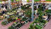 OBI Gartencenter Hamburg-Altona - GALLERY