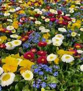 OBI Gartencenter Höchstadt - GALLERY