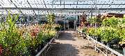 OBI Gartencenter Kempen - GALLERY