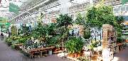 OBI Gartencenter Leipzig - GALLERY