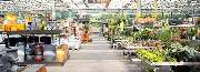 OBI Gartencenter Leipzig - GALLERY
