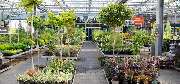 OBI Gartencenter Leipzig - GALLERY