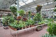 OBI Gartencenter Limburg - GALLERY
