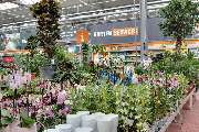OBI Gartencenter Limburg - GALLERY