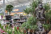 OBI Gartencenter Limburg - GALLERY