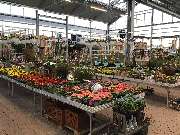 OBI Gartencenter Lindlar - GALLERY