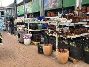 OBI Gartencenter Lindlar - GALLERY