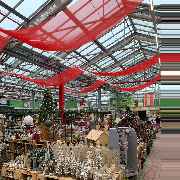 OBI Gartencenter Röthenbach - GALLERY