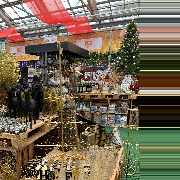 OBI Gartencenter Röthenbach - GALLERY