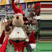 OBI Gartencenter Röthenbach - GALLERY