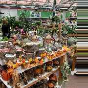 OBI Gartencenter Röthenbach - GALLERY