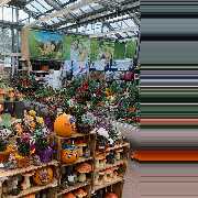 OBI Gartencenter Röthenbach - GALLERY