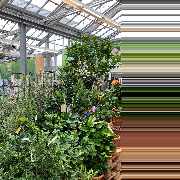 OBI Gartencenter Röthenbach - GALLERY