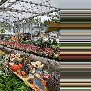 OBI Gartencenter Röthenbach - GALLERY