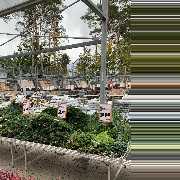 OBI Gartencenter Röthenbach - GALLERY