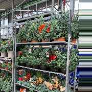 OBI Gartencenter Röthenbach - GALLERY