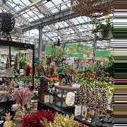 OBI Gartencenter Röthenbach - GALLERY