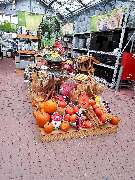 OBI Gartencenter Rüsselsheim - Garten Kalthalle