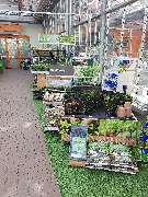 OBI Gartencenter Rüsselsheim - Hochbeete