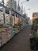 OBI Gartencenter Siegen-Weidenau - GALLERY