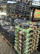 OBI Gartencenter Velbert - Gartencenter