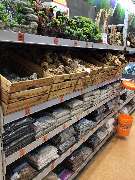 OBI Gartencenter Velbert - Heimtier