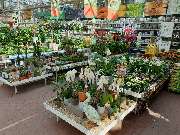 OBI Gartencenter Walsrode - GALLERY