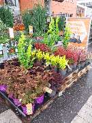 OBI Gartencenter Wuppertal-Steinbeck - GALLERY