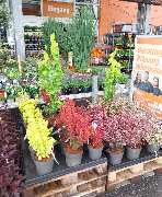 OBI Gartencenter Wuppertal-Steinbeck - GALLERY