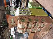 OBI Gartencenter Wuppertal-Steinbeck - GALLERY