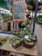 OBI Gartencenter Wuppertal-Steinbeck - GALLERY