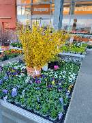 OBI Gartencenter Wuppertal-Steinbeck - GALLERY