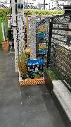 OBI Gartenplaner Velbert - Gartenplaner