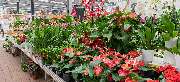 OBI Markt Aachen Debyestraße - OBI Gartencenter Aachen Debyestraße