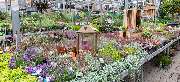 OBI Markt Aachen Debyestraße - OBI Gartencenter Aachen Debyestraße