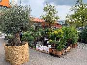 OBI Markt Aichach-Ecknach - OBI Gartencenter Aichach-Ecknach