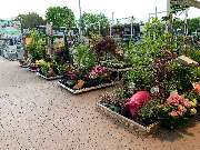 OBI Markt Aichach-Ecknach - OBI Markt-Eingang Aichach-Ecknach