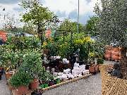 OBI Markt Aichach-Ecknach - OBI Markt-Eingang Aichach-Ecknach